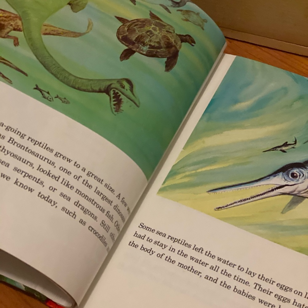Kids book